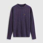 Cheng Yi endorses Gap men's autumn edition teddy bear embroidered loose twisted flower knitted sweater 792337